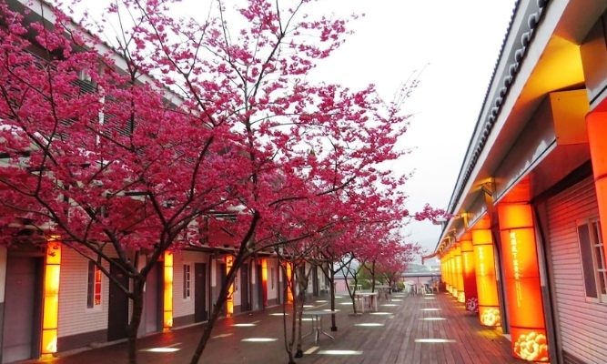 三義藝術村櫻花渡假會館 三義藝術村櫻花渡假會館