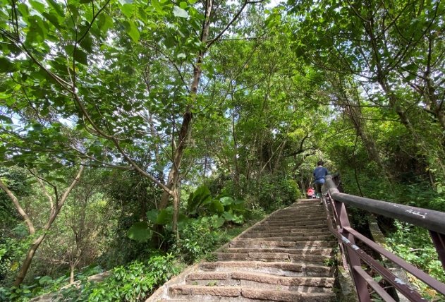 南港山縱走親山步道 南港山縱走親山步道