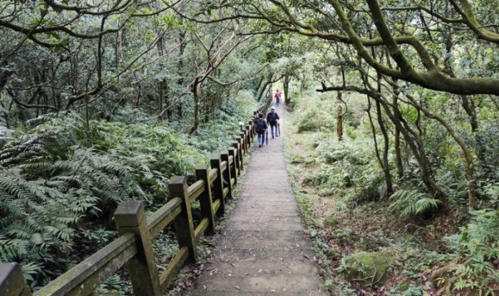 桃源谷步道 桃源谷步道