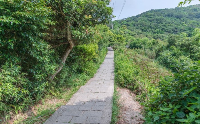 觀音山步道