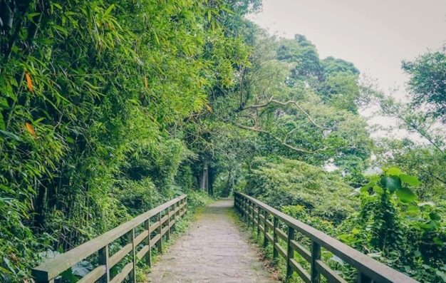 福隆山登山步道 福隆山登山步道