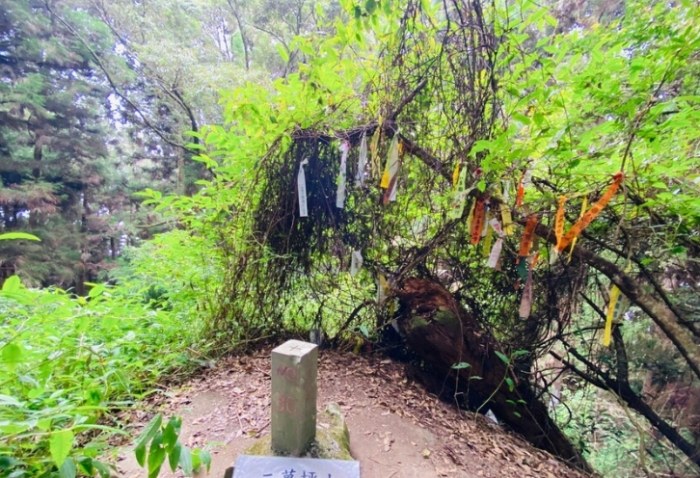 二萬坪風景區 二萬坪風景區