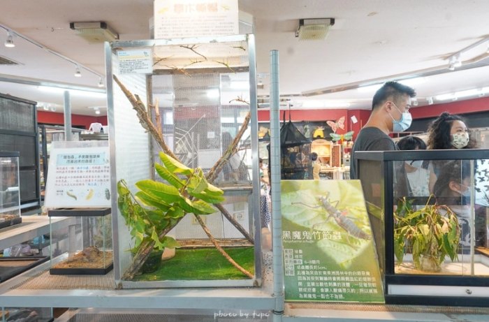 木生昆蟲博物館