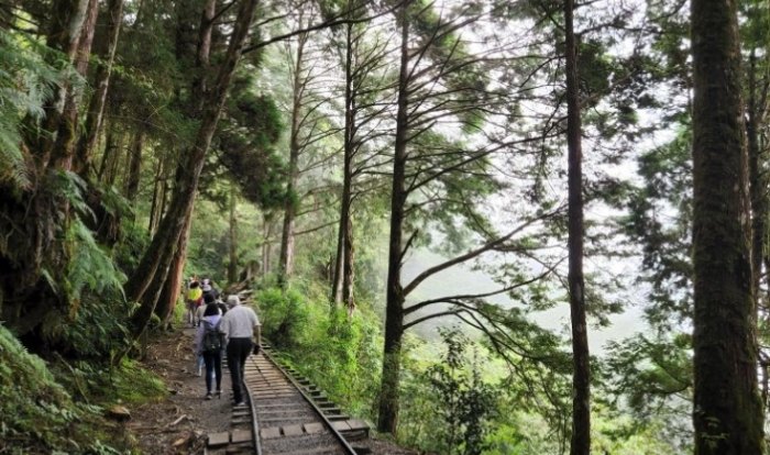 太平山檜木原始林步道