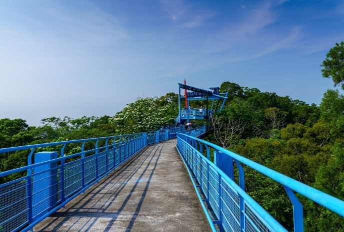 九華山天空步道 九華山天空步道