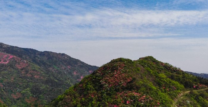雙峰山 雙峰山