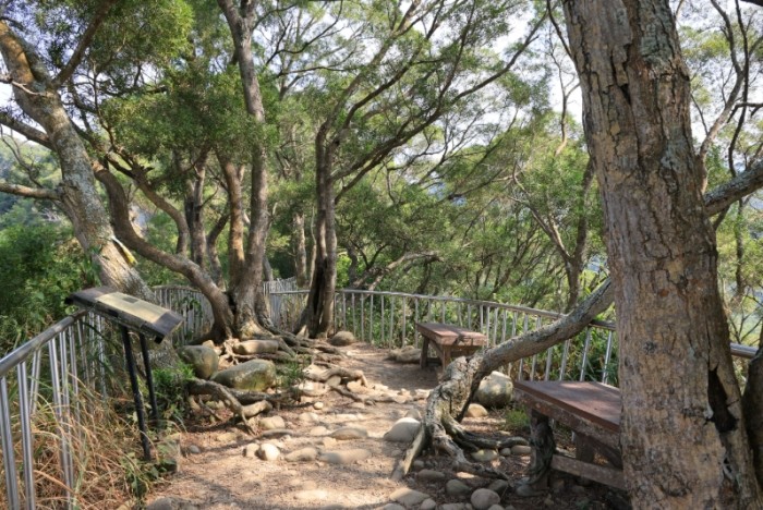 田中森林公園登山步道 田中森林公園登山步道