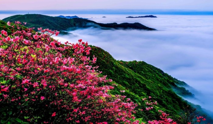 阳明山 阳明山