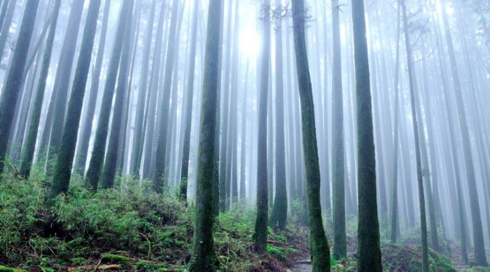 二萬坪風景區 二萬坪風景區
