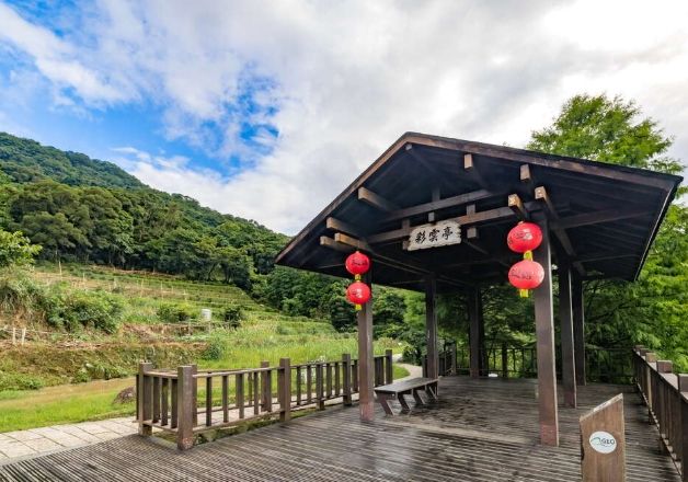 貓空樟樹步道 貓空樟樹步道