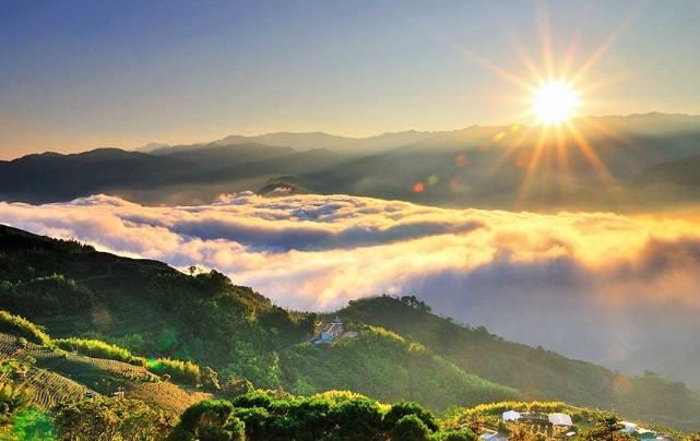 阿里山旅遊 阿里山旅遊