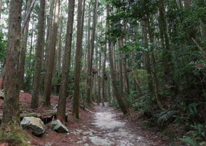 稍來山 稍來山