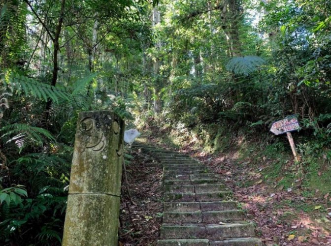 水社大山登山步道 水社大山登山步道