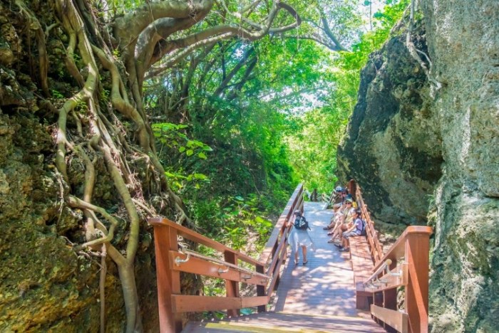 山豬溝生態步道 山豬溝生態步道