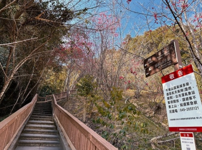 貓囒山步道 貓囒山步道