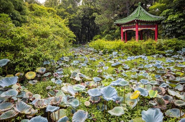 國立歷史博物館 國立歷史博物館