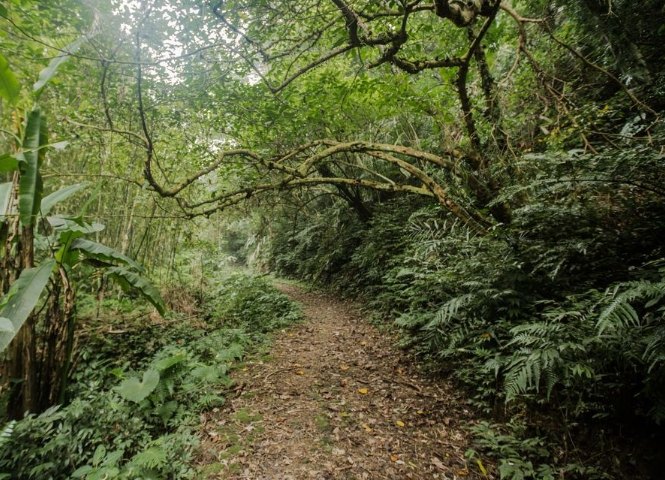 小粗坑步道