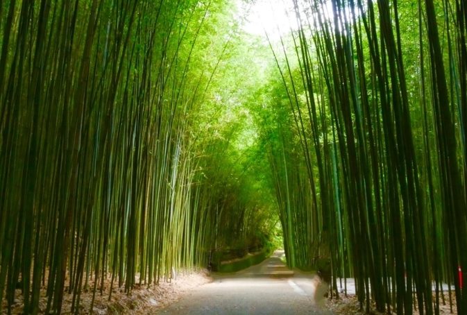 苗栗旅遊景點
