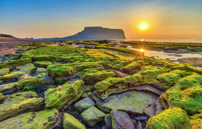 韓國濟州島旅遊 韓國濟州島旅遊