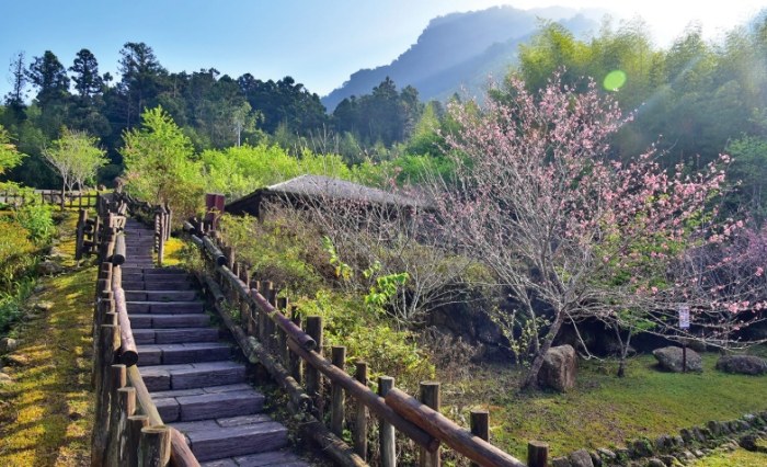 阿里山迷糊步道 阿里山迷糊步道