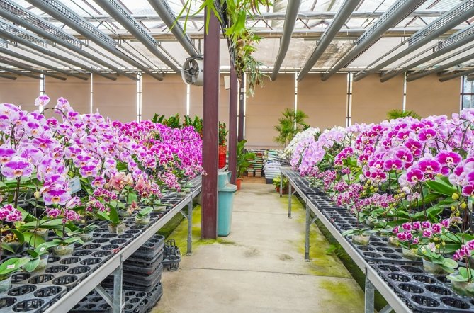 萌芳花卉農場 萌芳花卉農場