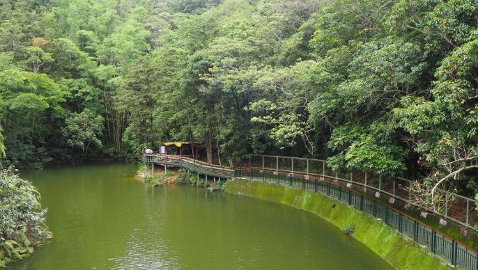 頭社水庫生態步道