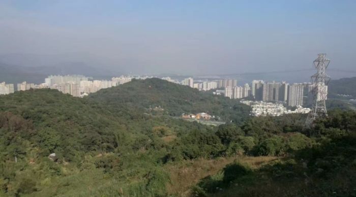 慈云山 慈云山