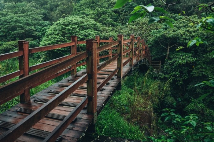 佐倉步道