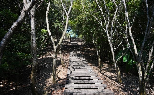 鄭漢步道
