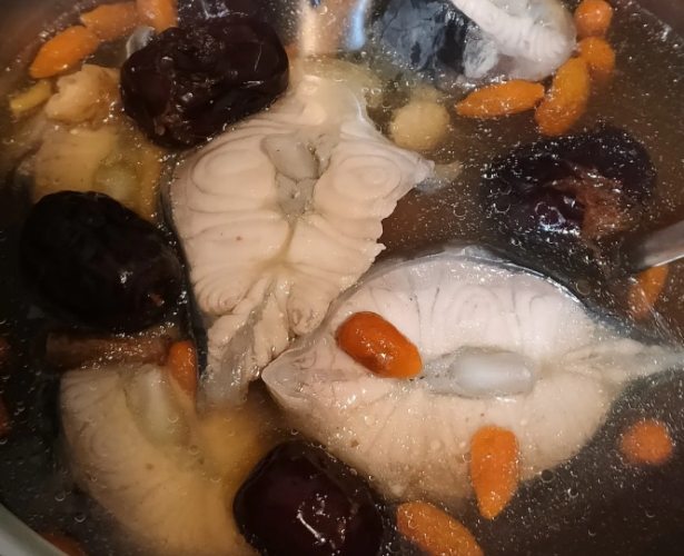鱘龍魚湯 鱘龍魚湯