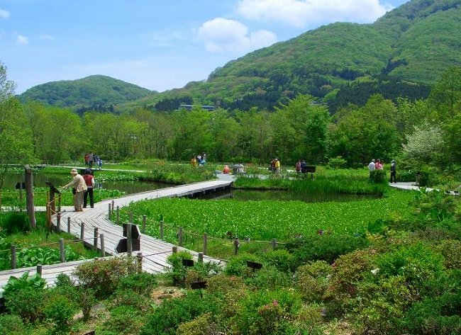 箱根景點 箱根景點