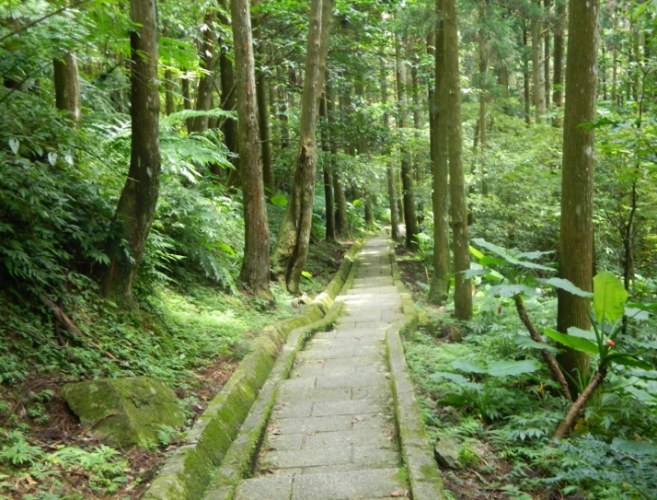滿月圓國家森林遊樂區 滿月圓國家森林遊樂區