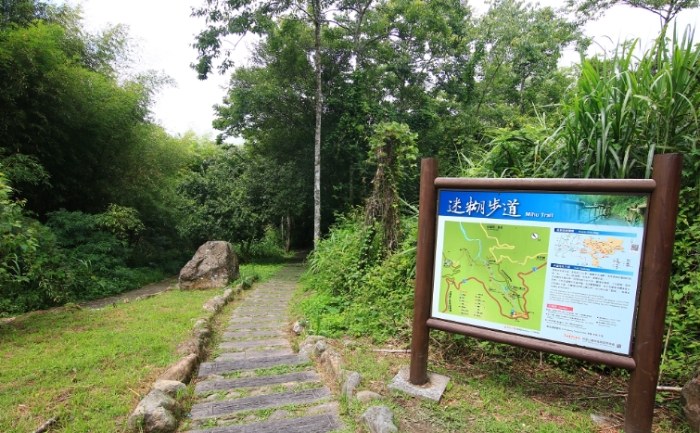 阿里山迷糊步道 阿里山迷糊步道