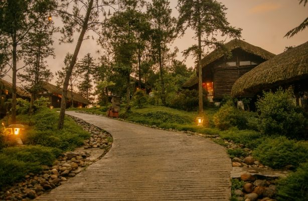 沙壩旅遊 沙壩旅遊