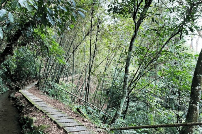 長源圳生態步道 長源圳生態步道