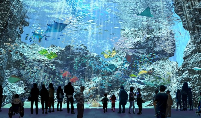 桃園海洋館 桃園海洋館