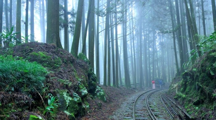 二萬坪風景區 二萬坪風景區