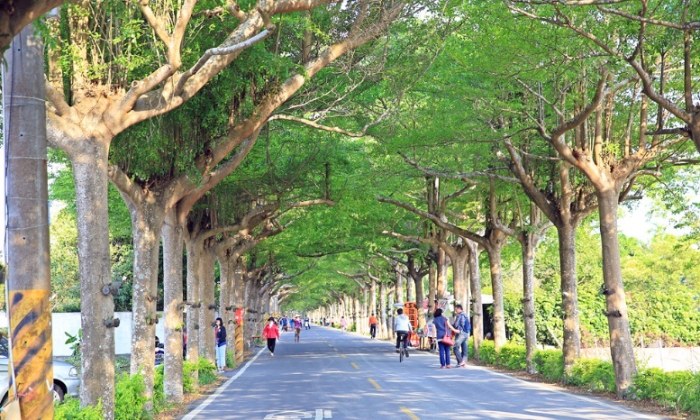 泗林健走步道 泗林健走步道