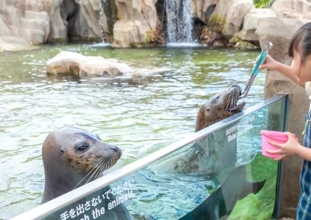 神戶動物園 神戶動物園