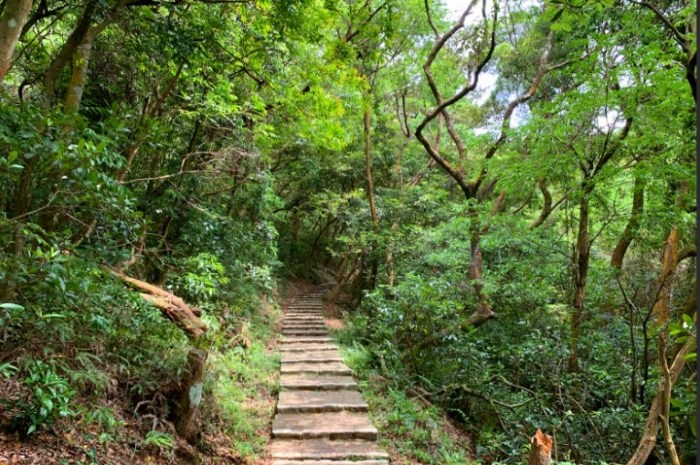 仁和步道 仁和步道