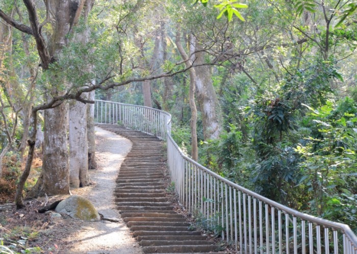 田中森林公園登山步道 田中森林公園登山步道