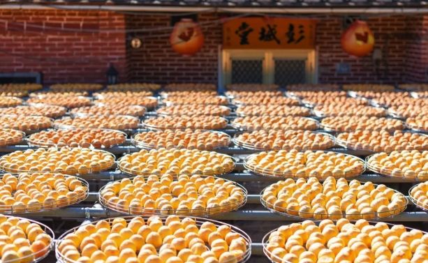 新竹縣景點 新竹縣景點