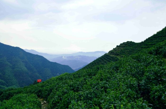 芙蓉山
