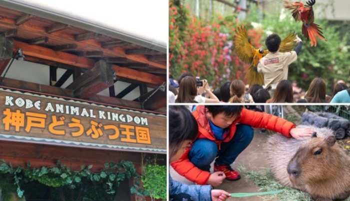 神戶動物園 神戶動物園