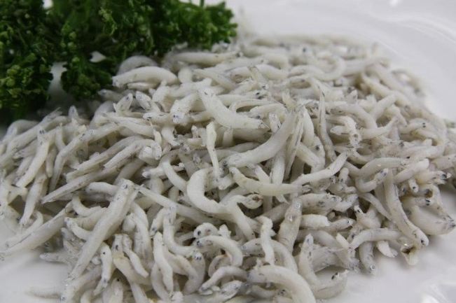 吻仔魚營養 吻仔魚營養