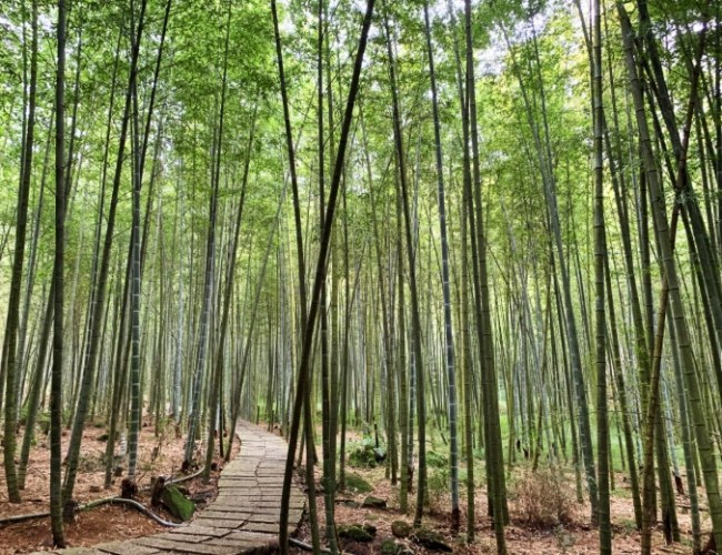 長源圳生態步道 長源圳生態步道