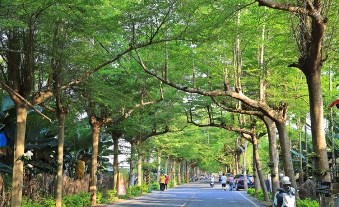 泗林健走步道 泗林健走步道