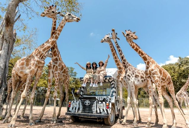 賽佛瑞野生動物園 賽佛瑞野生動物園