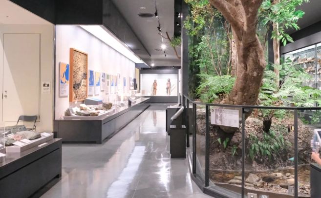 沖繩縣立博物館美術館 沖繩縣立博物館美術館