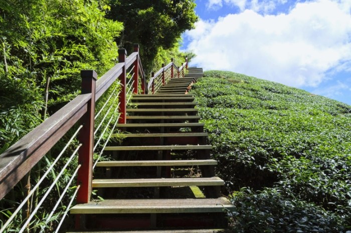 二尖山步道